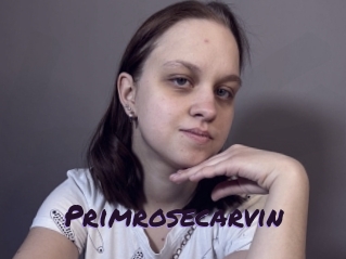 Primrosecarvin