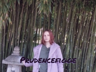Prudencefigge