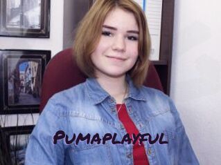 Pumaplayful