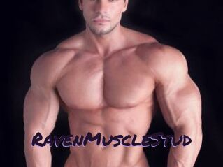 RavenMuscleStud