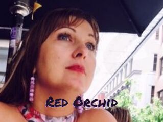 Red_Orchid