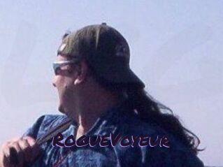 RogueVoyeur