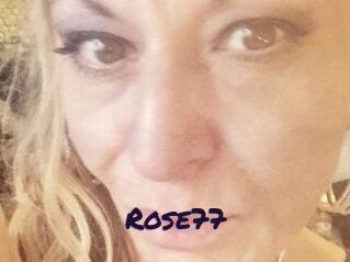 Rose77