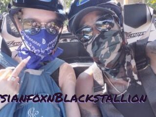 RussianfoxnBlackstallion
