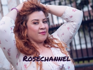 rosechannel Le Cul Gratuit
