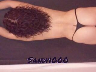 Sandy1000