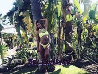 SelenaDice
