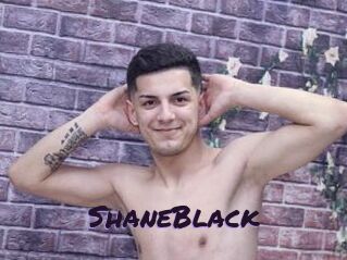 ShaneBlack