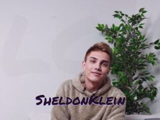 SheldonKlein