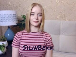 SilinBekk