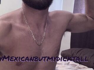 SkinnyMexicanbutmydicktall