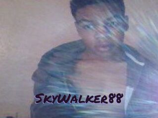 SkyWalker88