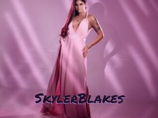 SkylerBlakes