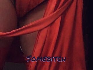 Somebitch