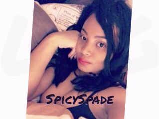 SpicySpade