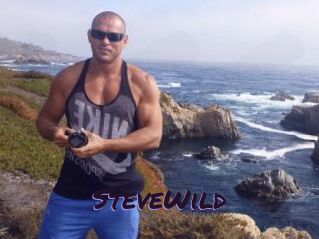 Steve_Wild