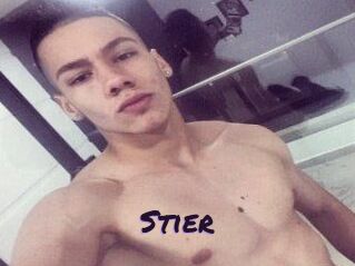 Stier