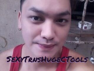 _SeXyTrnsHugeCTools_