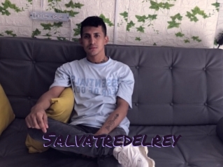 salvatredelrey Le Cul Gratuit