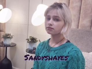 Sandyshayes
