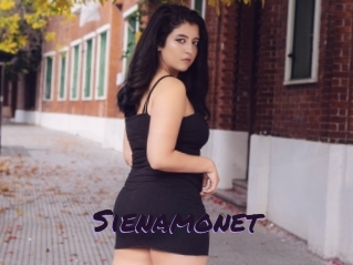 Sienamonet