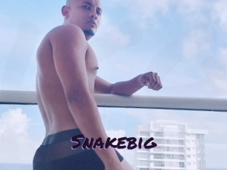 snakebig Le Cul Gratuit