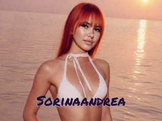 sorinaandrea Le Cul Gratuit