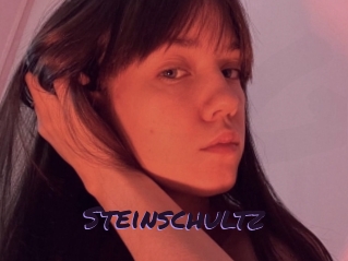 Steinschultz