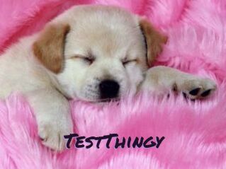 TestThingy