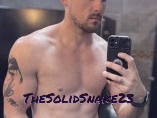 TheSolidSnake23