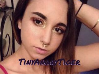 TinyAngryTiger