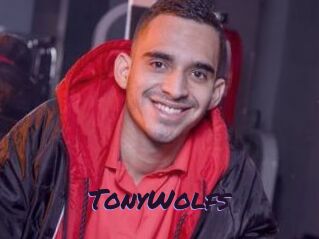 TonyWolfs