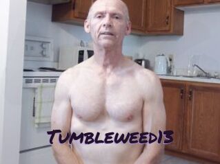 Tumbleweed13