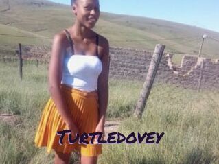Turtledovey