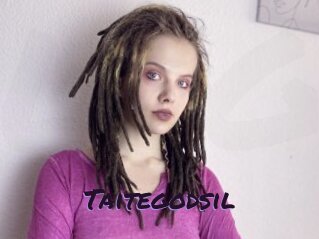 Taitegodsil