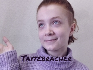 Taytebracher