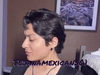 Tejanamexican301