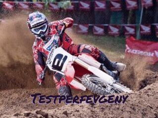 Testperfevgeny