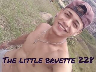 The_little_bruette_228