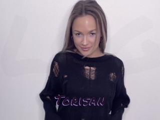 Torisan