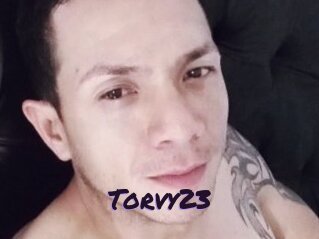 Torvy23