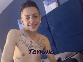 Toyking