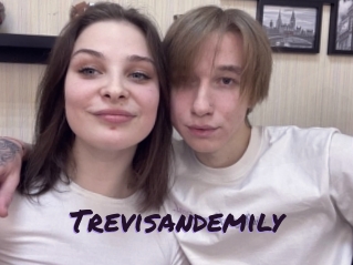 Trevisandemily