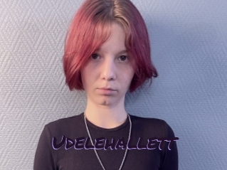 Udelehallett