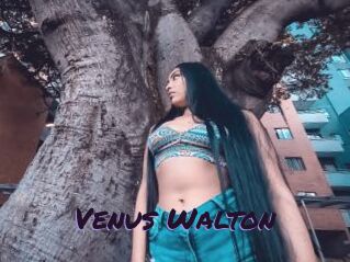 Venus_Walton