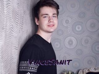 VinceSanit