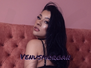 Venusmorgan