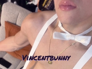Vincentbunny