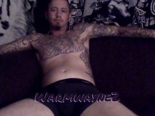 Warmwayne2