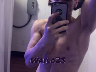 Waylo23